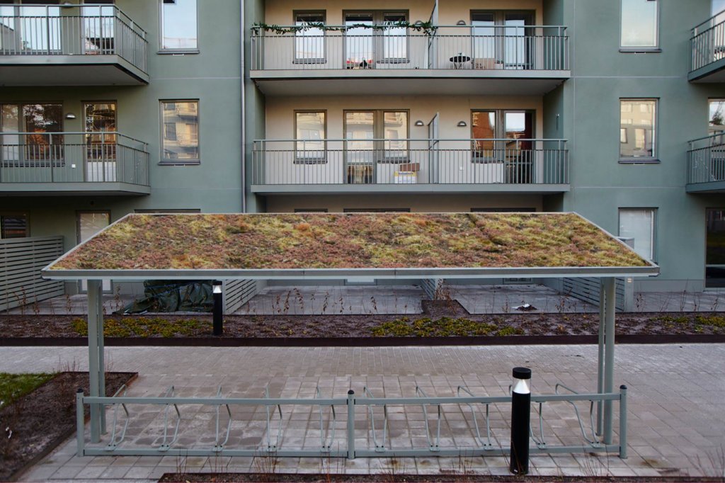Cykeltak KAPPA med SEDUM